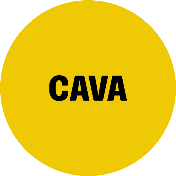 Cava logo representing ecommerce redesign